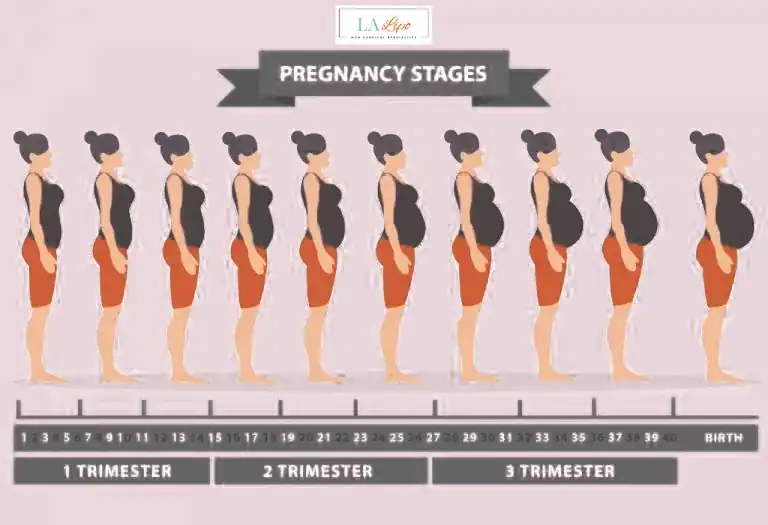 First Trimester (Weeks 1–12): Early Changes You Might Not Notice Hammersmith